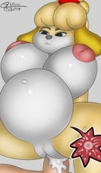 animal_crossing anthro belly big_belly big_breasts breasts canid canine canis cum cum_in_pussy cum_inside domestic_dog female furry furry_only hi_res human impregnation inflation isabelle_(animal_crossing) j5furry male male_human/female_anthro male_penetrating mammal nintendo ovum penetration penis pussy sex sperm_cell video_games