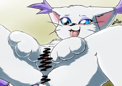 3_toes anus big_eyes black_nose blue_eyes blush censored cute_fangs digimon digimon_(species) eyeshadow female fluffy_ears fur gatomon haiiromon makeup open_mouth purple_fur pussy saliva simple_background snout solo spread_legs spread_pussy spreading toes tongue tongue_out whiskers white_fur