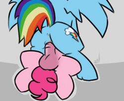 animated anus cowgirl_position feral furry futanari intersex my_little_pony pinkie_pie_(mlp) ponchuzn rainbow_dash_(mlp) vaginal_penetration