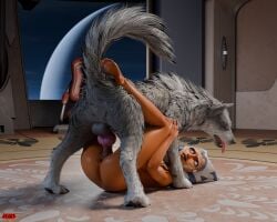 1boy 1girls 2026 3d absurd_res ahsoka_tano alien alien_humanoid anus balls bareback canid canine canis digital_media_(artwork) digitigrade duo erection fangs feet female female_humanoid female_on_bottom female_penetrated feral feral_on_top feral_penetrating feral_penetrating_humanoid freekiller from_front_position full-length_portrait fur genitals glistening glistening_body glistening_skin grey_body grey_fur hi_res humanoid humanoid_on_bottom humanoid_on_feral humanoid_penetrated inner_ear_fluff inside knot knotted_penis looking_at_another looking_at_partner lying lying_on_ground male male/female male_feral male_on_top male_penetrating male_penetrating_female mammal missionary_position on_back on_bottom on_ground on_top open_mouth orange_body orange_skin pawpads penetration penile penile_penetration penis penis_in_vagina pink_knot pink_penis planet portrait raised_tail sex space star_wars tail teeth togruta tongue tongue_out tuft vaginal_penetration watermark window wolf zoophilia