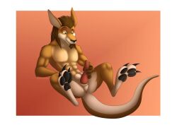 anatomically_correct anthro balls bundadingy gangstaguru kangaroo marsupial masturbation paws penis solo