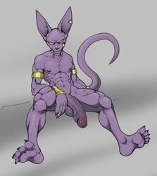 anthro balls beerus boner dragon_ball dragon_ball_super erection furry male male_only nipples no_humans nude penis solo utx-shapeshifter