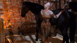 1boy 1girls 3d absurdres animal_genitalia animal_penis cd_projekt_red ciri equine equine_penis erection female female_on_feral highres horse horsecock huge_cock male niodreth penis the_witcher_(series) the_witcher_3:_wild_hunt zoophilia