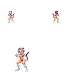 animated cat_ears cat_girl cat_humanoid cat_tail catgirl elm(ohgaki) feline fighting_pose fighting_stance high_ponytail inner_ear_fluff large_breasts light-skinned_female light_skin loop looping_animation medium_breasts oc ohgaki_m original original_character pixel_animation pixel_art ponytail purple_fur small_breasts transparent_background white_fur