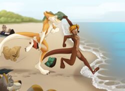 akitagami animal_genitalia anthro balls beach blonde_hair bottomwear boxers_(clothing) brown_fur canid canine canis claws clothing duo fur hair lutrine lying male male_only mammal mustelid nowandlater nude nude_beach on_back open_mouth orange_fur penis public running seaside sergal sheath shirt shorts small_penis smile t-shirt topwear underwear undressing water whiskers white_fur wolf