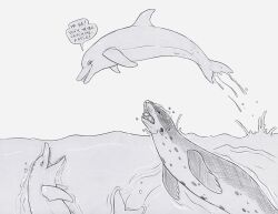 2018 ambiguous_gender anus cetacean dialogue dolphin dorsal_fin english_text female female_(lore) feral fin flippers flukes genitals group hatching_(art) hi_res imminent_oral_vore imminent_vore insult jumping leopard_seal male_(lore) mammal marine markings midair natiq partially_submerged pinniped pussy salome_(strega) seal shaded speech_bubble spots spotted_body strega talking_feral text toothed_whale trio unaware