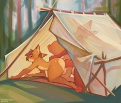 absurd_res all_fours anal anal_penetration anthro balls big_penis biped camping canid canine doggystyle duo fox from_behind_position fur genitals hi_res male male/male male_penetrated male_penetrating male_penetrating_male mammal nature nepentz nude_male orange_body orange_fur penetration penile penile_penetration penis penis_in_ass sex tent