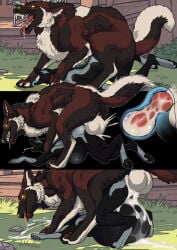 1boy ambiguous_gender anthro balls big_balls big_belly bodily_fluids canid canine cum cum_inside cum_through cumflated_belly cumflation duo excessive_cum excessive_genital_fluids feral feral_on_anthro genital_fluids genitals hi_res inflation internal knot knotting male mammal penetration sex shack_(artist) stomach_bulge zoophilia