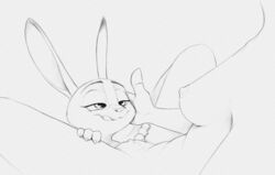 2021 antelope anthro anthro_on_anthro areola black_and_white bovid breasts clitoral_hood dipstick_ears disney duo faceless_character faceless_female female female/female gazelle gazelle_(zootopia) genitals hand_on_leg hand_on_thigh hi_res imminent_cunnilingus imminent_sex judy_hopps lagomorph leporid licking licking_lips licking_own_lips mammal monochrome multicolored_ears nipples nude pussy rabbit s1m self_lick sketch small_breasts smile spread_legs spreading tongue tongue_out yuri zootopia