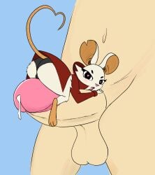 anthro bodily_fluids clothing cum cum_drip dripping duo female genital_fluids genitals heart_pupils heart_symbol heart_tail hi_res human male male/female mammal mina_(mina_the_hollower) mina_the_hollower mouse murid murine offscreen_male penis rodent size_difference smaller_female tail twistednature yacht_club_games