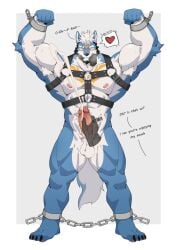 2026 anklecuffs anthro balls biceps black_facial_hair black_harness blue_body blue_fur blush bodily_fluids canid canine canis chest_markings claws cuff_(restraint) cum cumshot dialogue disembodied_hand ejaculation english_text erection eyes_closed facial_hair facial_markings finger_claws forehead_markings fur genital_fluids genitals hair hand_above_head handcuffed handcuffs handjob harness head_markings heart_symbol hi_res male mammal markings metal_cuffs mostly_nude multicolored_body multicolored_fur muscular muscular_anthro muscular_male muscular_thighs nipples pecs penile penis quads restraints sex sock_in_mouth solo speech_bubble tail text toe_claws two_tone_body two_tone_fur vein veiny_penis white_body white_fur white_hair wolf yellow_markings