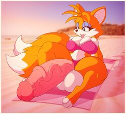 tails the fox from sonic (series) by stunnerpony