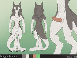 2014 4:3 animal_genitalia anthro ass balls close-up erection front_view full-length_portrait hi_res knot male mammal model_sheet penis portrait pose rear_view roguebarret sergal sheath shiuk solo three-quarter_view