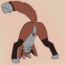 absurd_res animal_genitalia anthro anus ass_up backsack balls balls_blush bent_over blush body_blush butt canid canine eyebrows fluffy fluffy_chest fluffy_tail fox fur genitals hi_res jack-o'_pose larvameps looking_at_viewer looking_back looking_back_at_viewer male mammal navel nude_anthro nude_male orange_body orange_fur penis pink_anus pose presenting presenting_anus presenting_hindquarters raised_tail sheath solo tail true_fox white_body white_fur