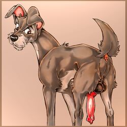 disney klaus_doberman lady_and_the_tramp male_only penis tagme testicles tramp