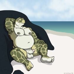 2026 anthro balls beach countershading digital_drawing_(artwork) digital_media_(artwork) erection feet foreskin genitals green_body hand_behind_head hi_res humanoid_feet looking_at_viewer male musclegut muscular narrowed_eyes navel nipples no_irises non-mammal_balls non-mammal_navel non-mammal_nipples nude_anthro nude_male penis plantigrade reptile scalie scribefang sea_turtle seductive solo turtle