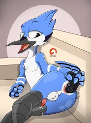 2024 absurd_res anal anal_masturbation anthro avian balls beak bird blue_jay bodily_fluids cartoon_network controller corvid dualshock dualshock_4 ejaculation erection game_controller genital_fluids genitals hands-free hi_res improvised_sex_toy jay_(bird) lying male male/male masturbation mordecai_(regular_show) new_world_jay nude open_mouth oscine osterars passerine penetration penis playstation playstation_4 playstation_controller precum regular_show sex_toy singature solo sony_corporation sony_interactive_entertainment tapering_penis vibrating vibrator watermark