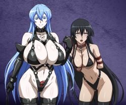 2girls ahe_gao akame_(akame_ga_kill!) akame_ga_kill! black_gloves black_hair blue_hair bondage bondage bondage bondage_outfit bound breasts cleavage collar elbow_gloves esdeath gloves highres holding holding_whip huge_breasts latex latex_gloves latex_legwear leash long_hair looking_at_viewer medium_breasts multiple_girls open_mouth red_eyes red_hair smile tongue tongue_out whip yuri yxyyxy