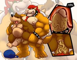 anal anal_sex anthro anthro_on_anthro anus areola ass balls banjo-kazooie banjo_(banjo-kazooie) bara barefoot bear biceps big_dom_small_sub big_penis bodily_fluids bowser brown_fur bubble_ass bubble_butt claws clenched_teeth close-up closed_eyes cock_ring crossover drooling erection fangs from_behind_position fur gay hair holding_(disambiguation) horn humanoid_penis internal king koopa large_insertion long_penis male male_focus male_only male_penetrated mammal mario_(series) masculine_male muscular muscular_male navel necktie nintendo nipples nude on_top open_mouth pecs penetration penis pubes rareware reptile reverse_cowgirl_position ridiculous_fit royalty saliva scalie sex sharp_claws sharp_teeth shell size_difference smaller_penetrated spikes spread_legs spreading standing stomach_bulge teeth thick_penis thick_thighs tight_fit toe_claws tongue triceps ursid vein veiny_penis video_games yaoi yasser