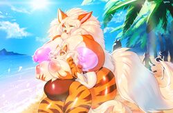 arcanine from nintendo by sylviajo