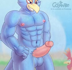 abs ambiguous_gender anthro areola avian balls banjo-kazooie barazoku beak biceps bird blue_eyes breegull butt erection falco_lombardi falcon falconid feathers gobanire humanoid_penis kazooie long_penis looking_down male male_focus manly muscular muscular_male nintendo nipples nude pecs penis pink_penis presenting presenting_penis rareware smile solo_focus standing star_fox teeth thick_thighs triceps video_games