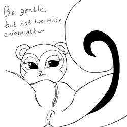 1:1 animal_crossing anus bedroom_eyes female half-closed_eyes mammal monochrome nintendo pecan_(animal_crossing) presenting presenting_pussy pussy rodent sciurid seductive simski_(artist) sketch video_games