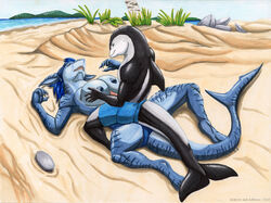 1boy 1boy1girl 1girls adleisio adleisio_(character) anthro anthro_on_anthro areola areolae beach blue_nipples breasts cetacean clothing delphinoid duo female fish grass island jackrow male mammal marine nipples non-mammal_breasts outside paizuri penis ruthis sea seaside sex shark shore straight swimwear titjob toothed_whale tree water white-beaked