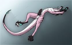 anthro anus erection genitals hi_res knot lizard male paws penis reptile scalie shadarrius slim solo stretching visor