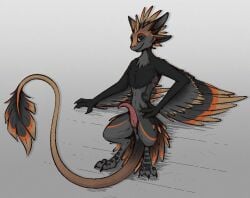 anthro avali feathers genitals hi_res male penis shadarrius solo standing tail