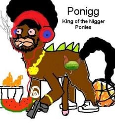 bonerific low_res meme my_little_pony pony racist shitpost
