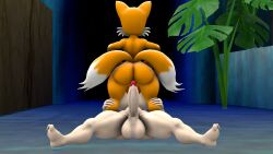 3d alien alien_girl anthro big_ass big_balls big_breasts big_penis cosmo_the_seedrian femboy fox futa_on_femboy futa_on_male futadom futanari huge_breasts huge_cock humanoid humanoid_on_anthro imminent_anal imminent_penetration interspecies loaq195 plant plant_girl sonic_(series) tails tails_the_fox