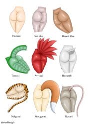 9girls anthro ass ass_chart ass_focus avian avian_humanoid big_ass big_butt bird bird_girl cat_girl catgirl dark_elf dark_elf_female elf elf_female elf_girl fox_girl fox_tail furry goat goat_girl human human_female humanoid light-skinned_female light_skin lizard lizard_girl long_tail mouse_girl mouse_tail oc original original_character rat rat_girl rat_tail reptile reptile_girl scalie scalie_female simple_background steelknigh tail tan-skinned_female tan_body tan_skin text tiger tiger_girl tiger_print tiger_tail watermark white_body white_skin
