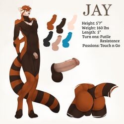 2018 4_toes ailurid anthro anus ass balls black_nose blue_eyes english_text fasttrack37d hi_res humanoid_penis jay_(draco32588) looking_at_viewer male mammal model_sheet nude penis red_panda simple_background smile solo text toes vein