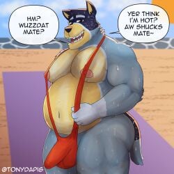 1:1 anthro ass australian_cattle_dog balls bandit_heeler beach big_breasts big_butt bikini_thong blue_body blue_fur bluey_(series) bodily_fluids breasts canid canine canis cattledog clothed clothing digital_media_(artwork) domestic_dog english_text erection fur genitals hair herding_dog hi_res looking_at_viewer male male/male mammal musclegut muscular muscular_male musk nipples nude open_mouth outside overweight pastoral_dog penis sand seaside simple_background sky smile solo sweat sweatdrop sweaty_butt swimwear tail text thick_thighs tongue tonydapig water