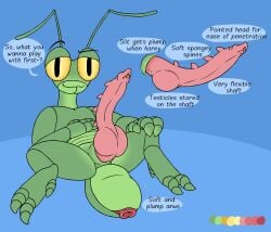 animal_genitalia anthro anus arthropod arthropod_abdomen arthropod_abdomen_anus balls dialogue genital_slit genitals hi_res insects male mantis mikey6193 model_sheet nude penile_spines penis solo unusual_anatomy unusual_balls unusual_balls_placement unusual_genitalia unusual_genitalia_placement unusual_penis