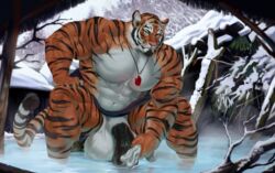 abs anthro balls bath biceps big_balls big_penis black_fur black_nipples black_penis boosterpang felid fur huge_cock humanoid_penis jewelry male male_only mammal muscular muscular_male necklace nipples nude orange_fur orange_tail pantherine partran partran_(character) partran_(tiger) pecs penis solo stripes tiger vein