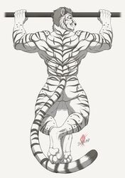 1boy 2019 anthro armpits ass back back_muscles biceps big_testicles black_and_white cheetah claws exercise feet felid feline grin hair hi_res hybrid inkrend looking_at_viewer looking_back male male_only mammal muscular muscular_male nude pantherine partially_colored perineum quads simple_background smile solo testicles tiger toe_claws triceps