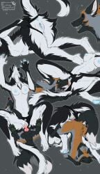 absurd_res anthro anus balls black_body black_fur blue_anus blue_nipples blue_tongue blue_vulva bodily_fluids brown_body brown_fur canid cum cum_in_vagina cum_inside cunnilingus dragon duo ender_(endermoonfur) endermoonfur erection female feral fur furred_dragon furred_scalie genital_fluids genitals green_eyes green_pawpads grey_body grey_fur hi_res knot male male/female mammal mythological_creature mythological_scalie mythology nipples oral pawpads penetration penis pink_knot pink_penis pink_tongue scalie sex tongue vaginal_penetration vaginal_penetration white_body white_fur