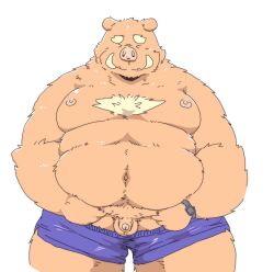 1boy 2024 anthro bara belly big_belly brown_body brown_fur closed_eyes clothing fat fat_belly fat_man fur genitals hi_res humanoid_genitalia humanoid_hands humanoid_penis kemono male male_only mammal moobs nipples obese obese_male overweight overweight_male penis simple_background small_penis solo suid suina suishou0602 sus_(pig) underwear white_background wild_boar