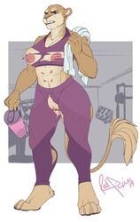 absurd_res anthro barefoot bodily_fluids breasts clitoris clothing felid female furry growth gym hi_res january lion mammal multi_nipple muscular muscular_female nipples pantherine pussy redpixie sweat torn_clothing torn_legwear torn_shirt wardrobe_malfunction