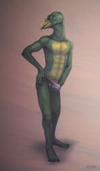 2016 anthro beak clenched_teeth clothing fundoshi hamakei hi_res japanese_clothing klongi male male_only penis reptile scalie simple_background smile solo suggestive teeth underwear