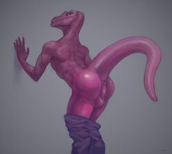 2016 anthro anus ass back_muscles balls bottomwear claws clothing hi_res klongi lizard looking_at_viewer male male_only nude pants pink_scales pink_skin reptile scales scalie simple_background solo