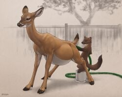 ambiguous_gender belly big_belly brown_body brown_eyes brown_fur bucket cloven_hooves container countershading deer difetra digital_media_(artwork) duo enema female female/ambiguous feral feral_on_feral fur gulonine hi_res holding_hose holding_object hooves hose_in_butt hose_inflation liquid_inflation looking_at_butt mammal marten mustelid musteline new_world_deer pine_marten quadruped restricted_palette standing tan_body tan_fur three-quarter_view water_inflation white-tailed_deer white_body white_countershading