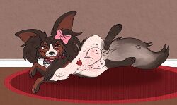 accessory animal_genitalia animal_penis balls big_balls bow_ribbon canid canine canine_genitalia canine_penis canis chihuahua coconut_(cokotheschnoot) collar domestic_dog femboy feral genitals hair_accessory hair_ribbon hairbow hi_res licking licking_lips lipsticking male mammal mixed_breed papillon penis presenting_balls presenting_sheath ribbons sheath shockinglylazy small_but_hung solo tongue tongue_out toy_dog