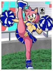 amy rose from sega by skwid
