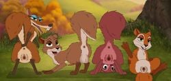 1boy 20th_century_fox 3girls andie_(the_nut_job) anus ass back_view bedroom_eyes blue_sky_studios disney feral feral_only fluffy fluffy_tail half-closed_eyes hazel_(sword_in_the_stone) hi_res ice_age_(series) ice_age_dawn_of_the_dinosaurs looking_at_viewer mammal multiple_girls paws presenting pussy rear_view rodent sciurid scratte_(ice_age) seductive skateryena spread_legs spreading the_nut_job the_sword_in_the_stone vagina