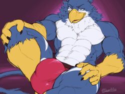 2025 5_fingers abs abstract_background absurd_res alternate_version_at_source anthro artist_name avian balls_outline bara beak biceps big_bulge biped bird blue_body blue_eyebrows blue_fur blue_hair bulge claws clothed clothing colored detailed_bulge digital_drawing_(artwork) digital_media_(artwork) english_text eyebrows facial_tuft fingers front_view fur genital_outline gryphon hair hi_res jericko_(germanshepherd69) jockstrap jockstrap_only khayen looking_at_viewer lying male markings mostly_nude muscular muscular_anthro muscular_male mythological_avian mythological_creature mythology neck_tuft pecs penis_outline presenting presenting_bulge purple_eyes red_clothing red_jockstrap red_underwear signature simple_background sitting skimpy smile smiling_at_viewer smirk smirking_at_viewer solo tail tail_tuft text topless triceps tuft underwear underwear_only white_body white_fur white_markings yellow_beak yellow_hands