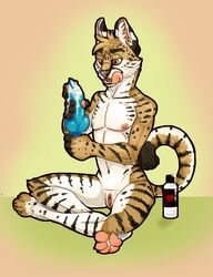 animal_genitalia animal_penis canine_penis cuntboy dildo domestic_cat felid feline felis fisis hi_res intersex knot licking licking_lips lube mammal mastectomy_scar masturbation nude preparation pussy scar self_lick serval sex_toy sitting solo tongue tongue_out