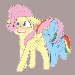 fluttershy (mlp) from friendship is magic by ashersketch