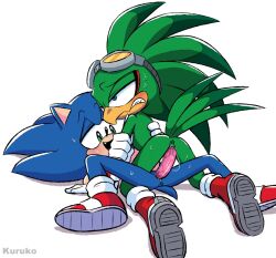 jet the hawk from sonic (series) by kuruukoo